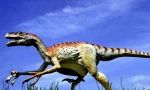 Dromeosaur