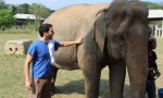 Ako skrotený ázijský slon
