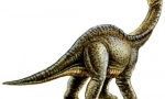 Oddenosaurus