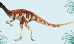 Oviaptor