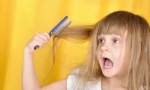 Pediculza u detí: ako priniesť vši a gnid