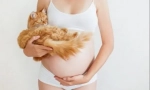 Prečo mačka spadá na brucho tehotných žien