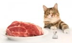 Purin wang pre mačky: charakteristiky nutričnej stravy pre domáce zvieratá rôzneho veku
