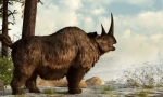 Woolly rhino