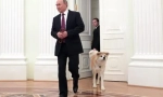 Ruský prezident vladimir putin psov
