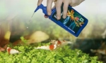 Nástroje pre akvárium. Chémia starostlivosti, vitamíny, klimatizácia