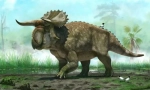Herbivore dinosaury