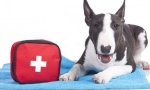 Súprava veterinárnej pomoci