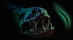 15 Nezvyčajných zvierat, ktoré považujete za zvláštne