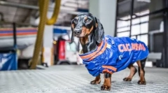 4 Známe dane, ktoré pomáhajú ľuďom