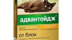 Rozhodca pre mačky - kvapky z blchy a vši