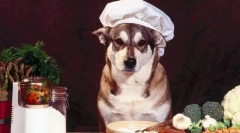 Miska všetko po jednom