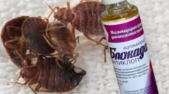 Blokáda antiklopu a objednávky aplikácie