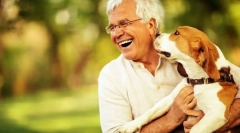 Psy nebezpečné pre človeka