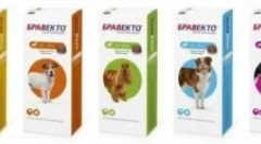 Bravkto z kliešťov, blchy a iných parazitov