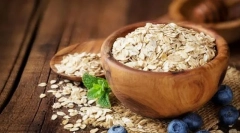 Rýchle odrazenie pre psov