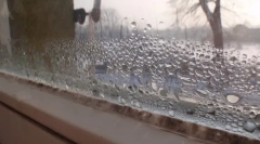 Domáce a ľudové opravné prostriedky na zničenie foriem