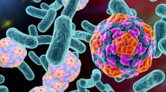 Aké baktérie sa líšia od vírusov?