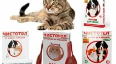 Oslavuje z blcha a kliešťov pre mačky a psov