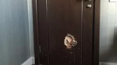 Čo psi robia, keď majitelia nie sú doma: top 10 podivných tried