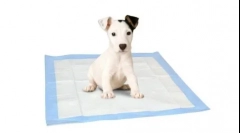 Čo je lepšie pre psov - zásobník alebo pelectvo