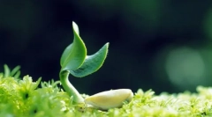 Čo je potrebné na udržanie života?