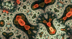 Čo sú najjednoduchšie?