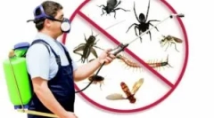 Čo je deschtenie, druhy a objednávka