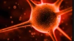 Čo je cryptosporidia a aké sú metódy jeho liečby?