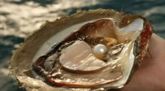 Čo vo vnútri plášťa?