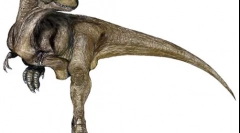 Daspletosaur