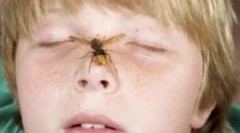 Akcie rodičov, ak je dieťa bit