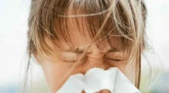 Dermatophege peric alebo prach tick