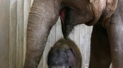 Dieťa, obklopené materskou starostlivosťou a láskou (23 fotografií)