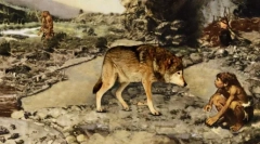 Divokí predkovia domácich psov: pohľad na skaly podobné vlci