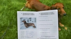 Dokumenty na šteňa