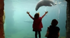 Fotografie zvierat našej planéty