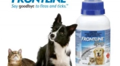 Frontline pre mačky: návod na použitie