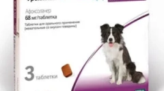 Frontline nexgard a pokyny pre jeho použitie