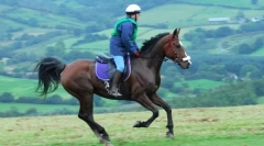 Cval a prechody z jednej allyury do druhého