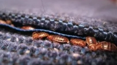 Kde sa chyby zvyčajne schovávajú v byte?