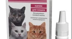 Gestrenol pre mačky: prípady menovania a odporúčania na použitie