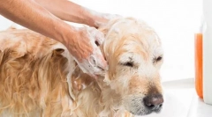 Hygienické procedúry