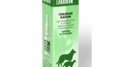 Očné kvapky pre mačky