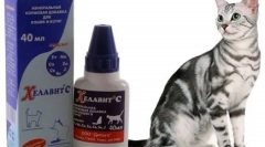 Chevitit c: vlastnosti lieku a špecifiká jej používania