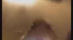 Hamster sa pozerá do komory: čo znamená nový meme