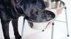 Chronické ochorenie obličiek