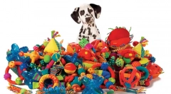 Hračky pre psov: nebezpečné a bezpečné