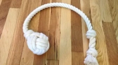 Hračky pre psov urob to sami: zábava a vývoj