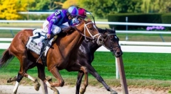 Hry s účasťou koní